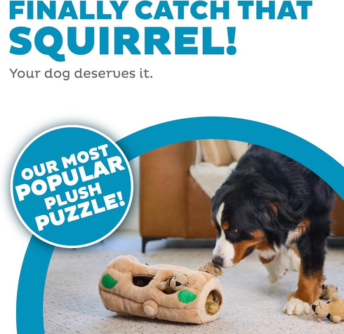 2in1 6 Outward Hound Hide-A-Squirrel Dog Toy Interactive Plush Puzzle with Squeaky Removable Squirrels, X-Large