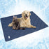 PetAmi Premium Cooling Dog Blanket, Lightweight Fluffy Pet Throw Bed Cover for Dogs, Reversible Fuzzy Cozy 40x60