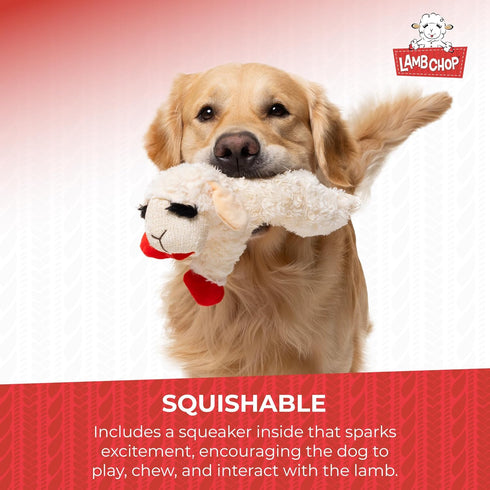 (10", 5 Multipet Lamb Chop Dog Plush Toy - Squeaky Toy for Small & Medium Dogs - Extra Soft Plush - Stuffed Animal