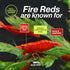 (Pack 10) Fire Red Premium High-Grade Cherry Shrimp Neocaridina Freshwater Aquarium, Live Shrimp Freshwater Aquarium