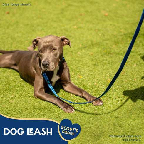 Good Scout 5' Heavy Duty Dog Leash for Large Dogs, Durable Walking & Training Leash with D-Ring for Waste Bag