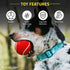 Playology Squeaky Chew Ball for Dogs, All Natural Beef Scented Toy for Medium & Large Dogs, Value 2-Pack