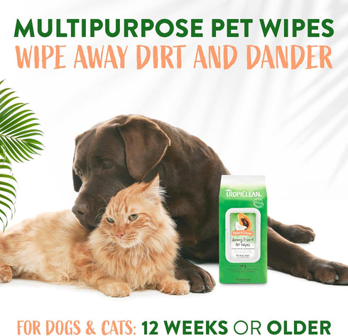TropiClean Papaya & Coconut Dog Wipes for Paws and Butt, Deep Cleaning Grooming Wipes, Safe for Face, 100 Count
