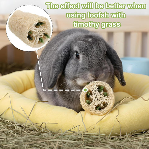 Qianyu 4 Chinchilla PCS Rabbit Chew Toys Natural Loofah Bunny Toys Pet Enrichment Accessories Bunny Teeth Grinding Toy