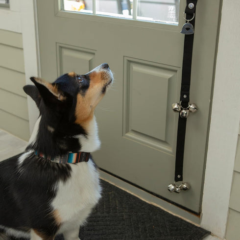 Caldwell's Pet Supply Co. Dog Potty Bells, Hanging Dog Door Bell for Potty Training, Quality Bell for Dogs