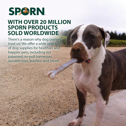 Sporn Durable Marrow Dog Chew Bones for Light Chewers, Jerky Flavor Nylon Toys for Extra Small Dogs, Gluten-Free &