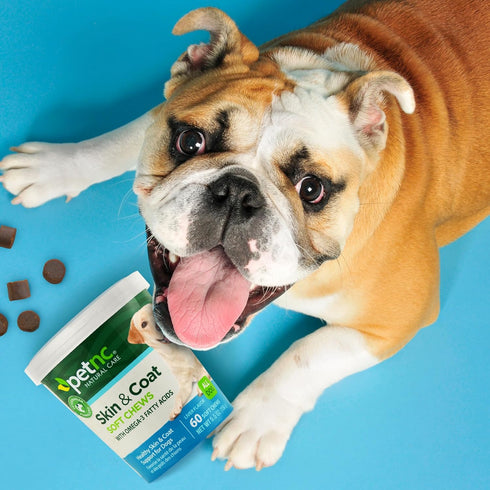Petnc Natural Care Dog Skin and Coat Supplement, 60 Chewables, with Omega 3, EPA & DHA, Promotes Healthy Skin & Glossy