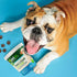 Petnc Natural Care Dog Skin and Coat Supplement, 60 Chewables, with Omega 3, EPA & DHA, Promotes Healthy Skin & Glossy