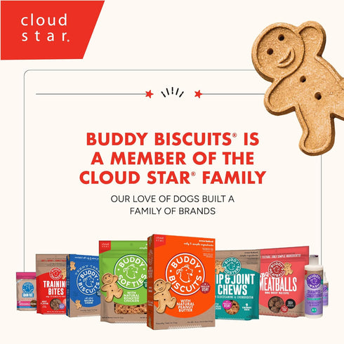 Buddy Biscuits Boosters, 5 oz. Bag of Hip and Joint Soft Chews Dog Treats with Natural Chicken