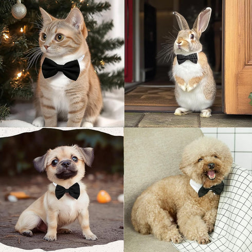 ZTON Handcrafted Adjustable Formal Pet Bowtie Collar Neck Tie for Dogs & Cats (L, Black)