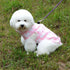 SMALLLEE_LUCKY_STORE New Soft Padded Vest Harness for Small Dogs - Pink Bow, Model: BFL049-Pink-L, L(Chest 17.7" Back