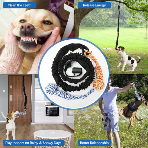 Spring Pole Dog Rope Tug of War Toy for Medium to Large Dogs - Bungee Hanging Exercise Ropes for Muscle Building