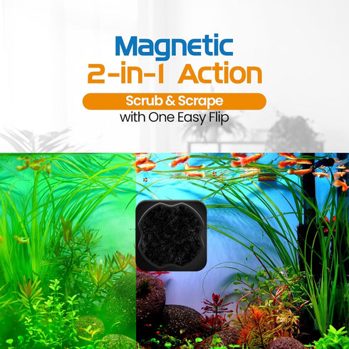 2 1 FL!PPER Flipper Pico in Magnetic Algae Scrubber Scraper Aquarium Fish Tank Cleaner - Black