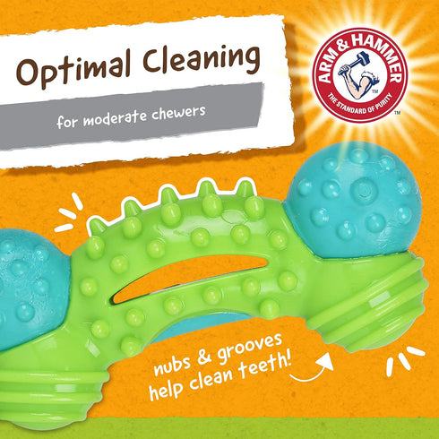 Arm & Hammer for Pets Nubbies Duality Bone Dental Dog Toy, Best Chew Toy for Moderate Chewers - Green Apple