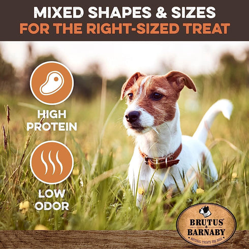 BRUTUS & BARNABY Bully Stick Bites - Grass Fed Low Odor Bites - All Natural and Grain Free (2lb)