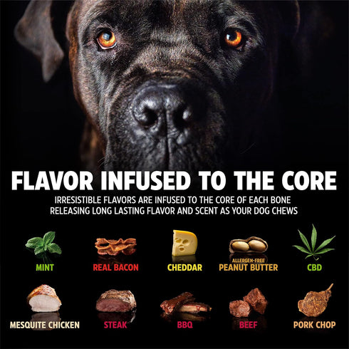 Pet Qwerks Zombie BarkBone - 9.5" Nylon Dog Bone for Moderate Chewers, Cheddar Cheese Flavor