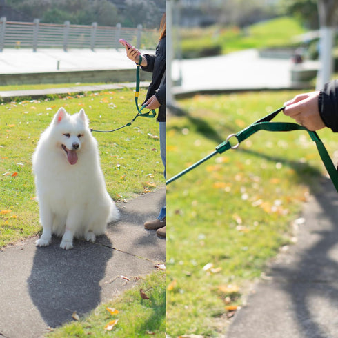 Dog Slip Lead - 5FT Fine Webbing Training Leash, Heavy Duty & Durable, Easy-Control for All Dogs (Green)