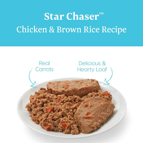 Solid Gold Canned Dog Food for Adult & Senior Dogs, Real Chicken & Whole Grains, Star Chaser High Calorie Wet Dog Food