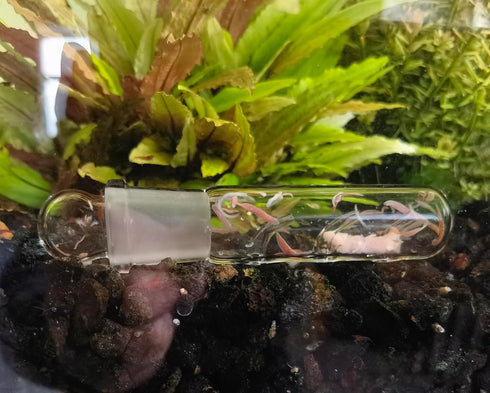 2 Pack 3 Holes Planaria Trap for Aquarium, Bristle Worm Catcher Snail Trap for Fish Tank Leeches Catcher