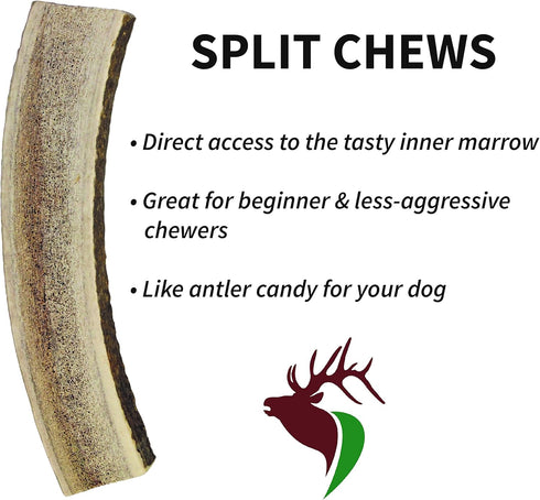 Large Split Single Pack Premium Grade Elk Antler for Dogs - 30-50 lb Dogs, 1 Piece Sourced in The USA