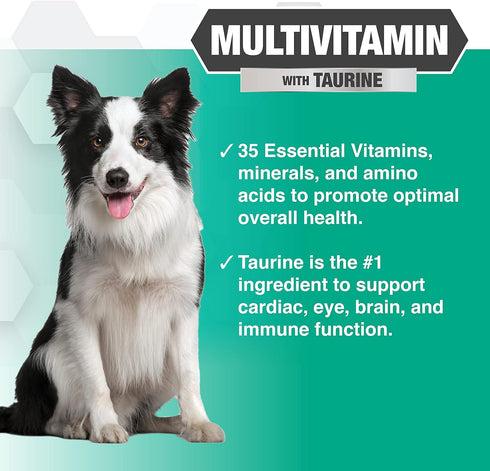 Nootie Progility Multivitamin for Dogs, Soft Chews with Taurine - 90 Chews per Container