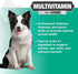 Nootie Progility Multivitamin for Dogs, Soft Chews with Taurine - 90 Chews per Container