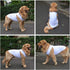 2018 Pet Clothes Dog Clothing - Classic Blank T-shirt Tanks Top Vests for Small, Medium, Large Dogs (XXXL, White)