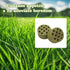 BingegePet 2 Pack Chicken Beak Timothy Grass Block, Chicken Toys for Coop, Enrichment Toys for Hens, Ducks, Geese