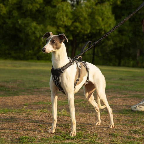 Escape Proof Dog Harness, Reflective No Slip Harness with Handle, Adjustable Vest for Large Dogs Walking and Training