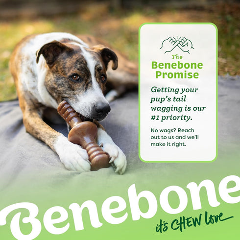 Benebone Zaggler Rolling Dog Chew Toy - Real Bacon for Aggressive Chewers - Made in USA, Large Size