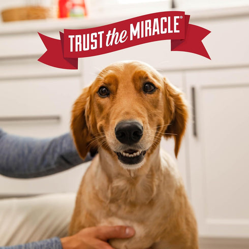 64 Natures Miracle Advanced Stain & Odor Eliminator For Dogs With Flip & Go Sprayer, Ounces, Enzymatic Formula