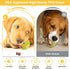 New Interactive Dog Toy Ball with Remote Control, Self Rolling USB Rechargeable Ball