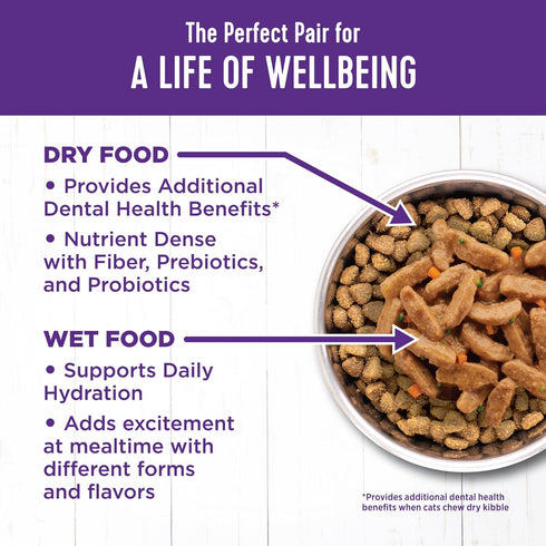 Wellness Complete Health Natural Grain Free Wet Canned Cat Food, Sliced Chicken Entree, 3 Ounce Can (Pack of 24)