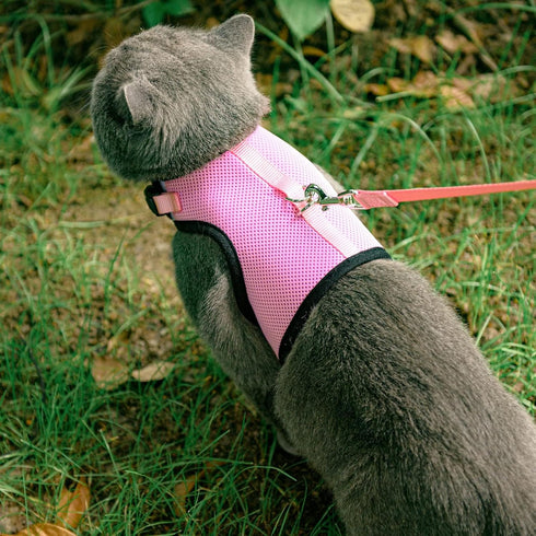 PUPTECK Soft Mesh Cat Vest Harness and Leash Set, Escape Proof Padded Pet Harness for Small Dogs, Pink Large