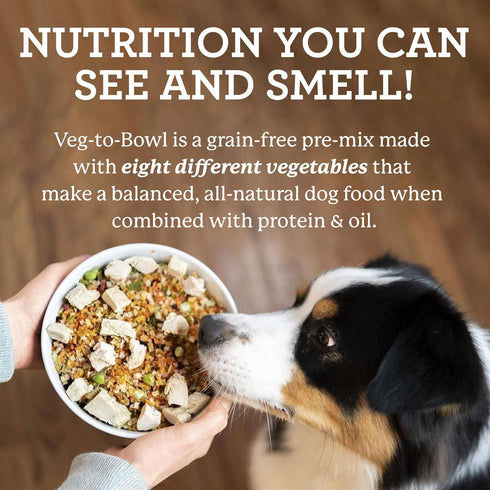 Dr. Harvey's Veg-to-Bowl Dog Food, Human Grade Dehydrated Base Mix, Grain Free Holistic Mix (3 Pound)