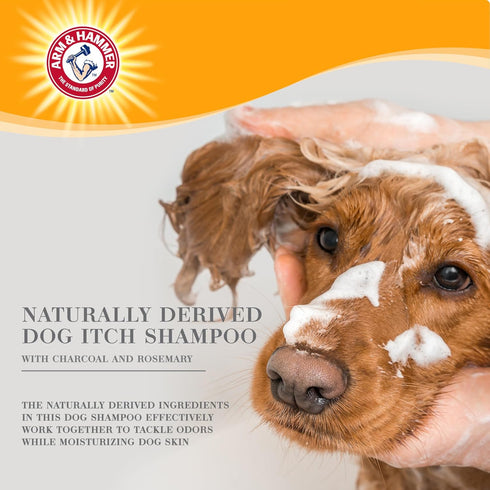Arm & Hammer for Pets Ultra Fresh Deep Cleansing Dog Shampoo, 24oz with Charcoal & Rosemary for Grooming.