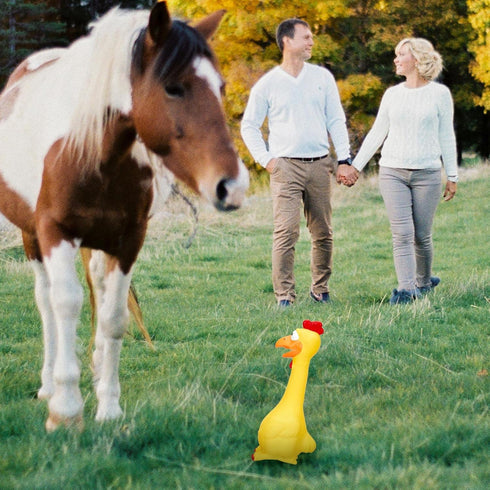 2 11 Inches Hungdao Pcs Rubber Chicken Squeaky Dog Toy Horse Toys Latex Reduce Separation Anxiety Screaming Chicken Toy