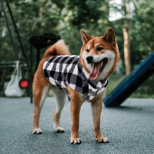 ASENKU Plaid Dog Sweater, Soft Comfortable Fleece Vest for Small & Medium Breeds, Warm Winter Dog Shirt (M, Black)