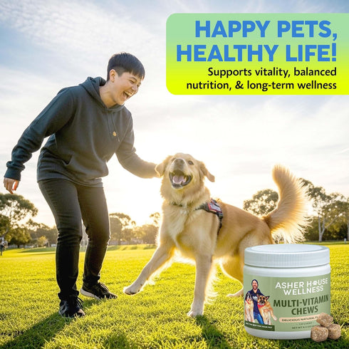 120 Asher House Wellness Dog Multivitamin Chews - Dog Vitamins and Supplements, Soft Chew for Pet Dogs with Probiotics