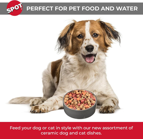 SPOT by Ethical Products - Heavy Ceramic High Gloss Dog Bowl Cat Bowl Durable Dog Food and Water Pet Dish - Dishwasher Safe - 2 TONE GRAY DOG DISH 7"