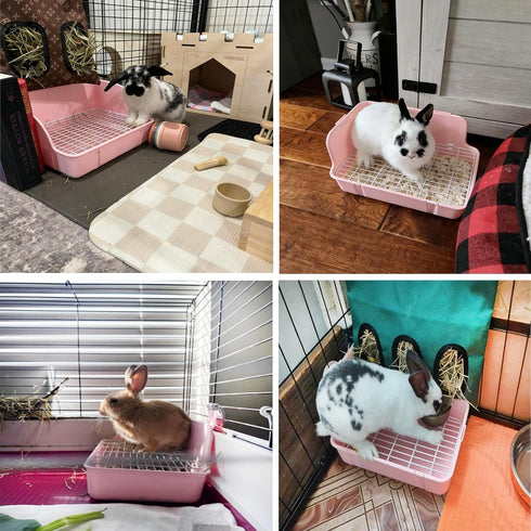 Chinchilla kathson Guinea Pig Litter Box,Bunny Potty Training,Plastic Square Small Animal Toilet,for Hamster Ferret
