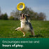Earth Rated Flying Disc Dog Toy, Interactive Yellow Flying Saucer for Adult and Puppy Dogs, Floats in Water