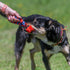 Tug-E-Nuff Pocket Fauxtastic | Durable Bungee Tug Toy for Dogs | Ideal for Interactive Training | Faux Fur, 3 Colours,