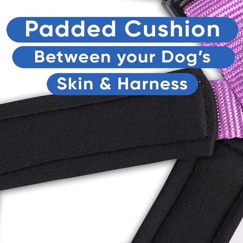 Pawtitas Padded Dog Harness, Reflective Dog Vest for Comfort Control, XS Extra Small Orchid