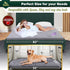 Paw Buddies Waterproof Blanket, Queen Size Intimacy Blanket for Adults, Ultra-Soft Noiseless Mattress Protector