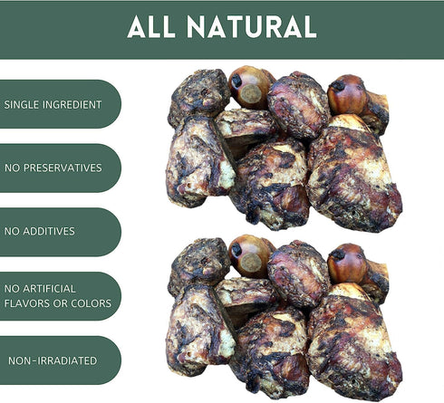 K9 Connoisseur Dog Bones - All Natural Long Lasting Meaty Mammoth Marrow Filled Chew Treats for Large Breeds (8 Pack)