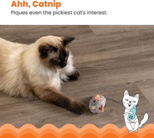 Touch-Activated Gray Squeak Mouse Cat Toy with Catnip