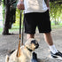 Dog Leash, 4 FT Nylon Pet Leash with Leather Handle for Large Medium Dogs, Reinforced Connection (Army)