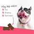 VetriScience Probiotic Everyday for Dogs, Duck Flavor 120 Chews, Supports Itchy Skin, Gut Health, and Gas Relief
