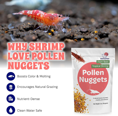 100% 2 oz Snout and Shell Bee Pollen Nuggets for Shrimp Tanks Natural Shrimp Superfood Supplement Boosts Color, Molting
